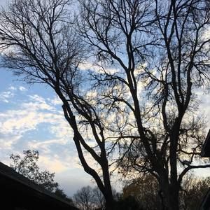 Meet your Posher, Chia chia